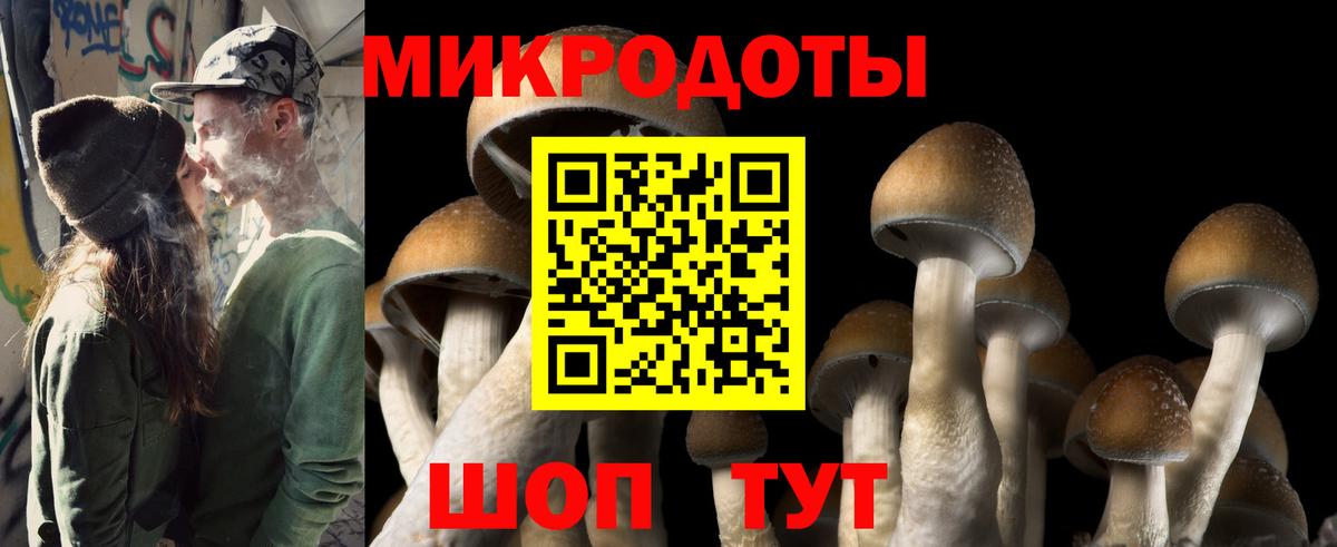 Домодедово  Галлюциногенные грибы Psilocybine cubensis  Вход с VPN 